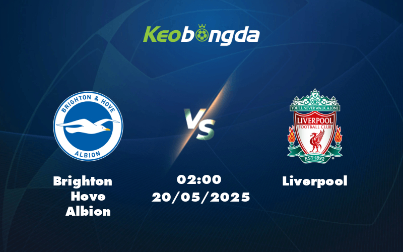 brighton hove albion liverpool 20 05 ngoai hang anh