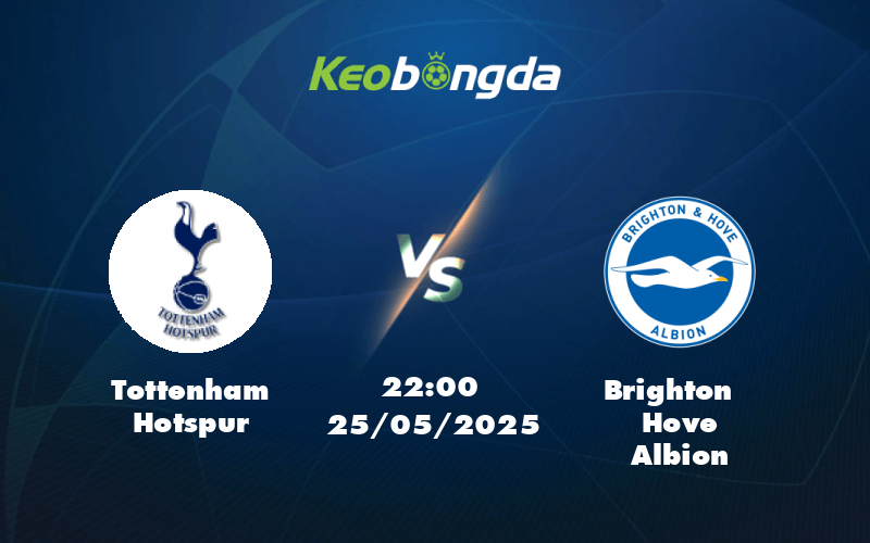 tottenham hotspur brighton hove albion 25 05 ngoai hang anh